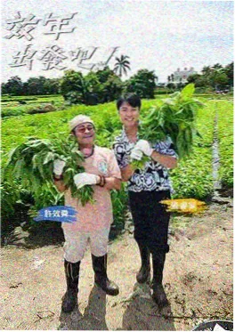 单身即地狱